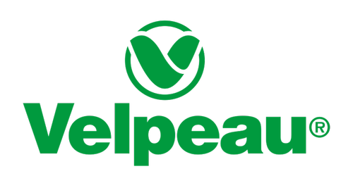 Velpeau